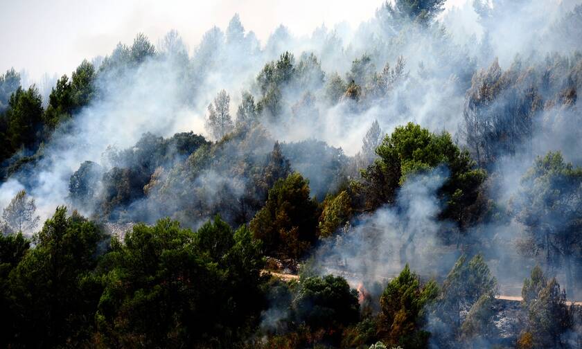 Ισπανία: Εκκενώνονται δύο ακόμη πόλεις στην Ανδαλουσία - Οι πυρκαγιές μαίνονται για πέμπτη ημέρα