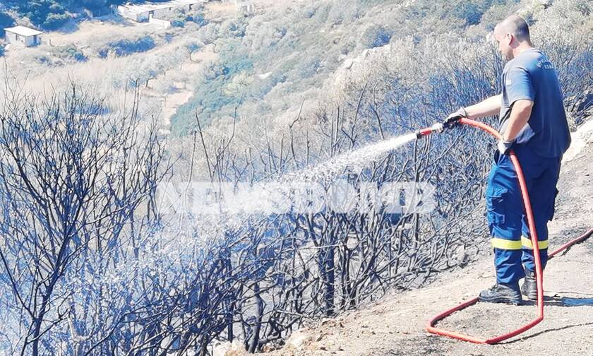 Φωτιά Κερατέα: Τέθηκε υπό πλήρη έλεγχο - Οι εικόνες καταστροφής που άφησαν πίσω τους οι φλόγες
