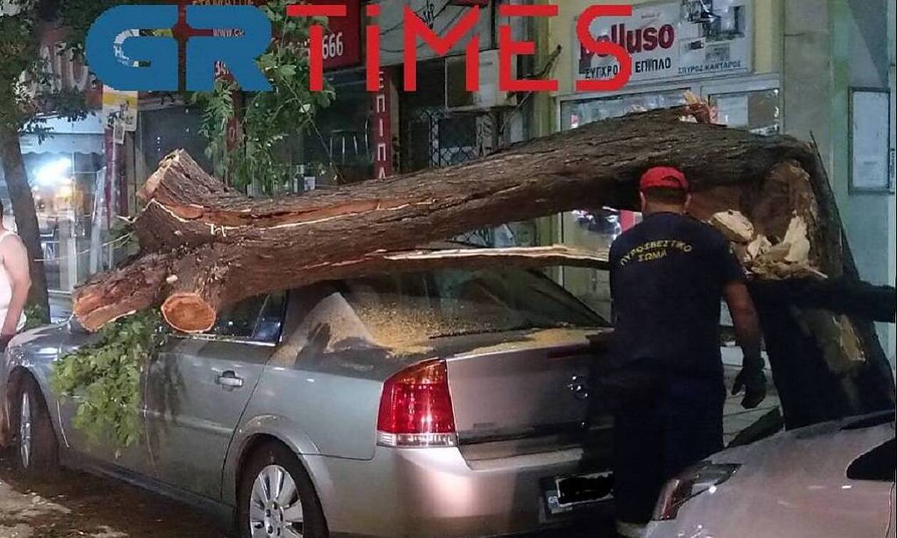 Θεσσαλονίκη: Δέντρο καταπλάκωσε αυτοκίνητο - Αναστάτωση στο κέντρο της πόλης (vid)