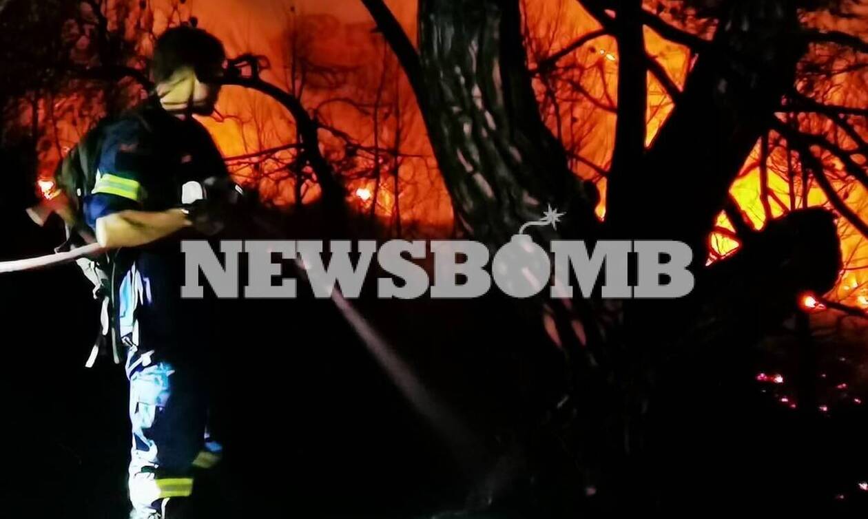 Φωτιά Νέα Μάκρη - Ρεπορτάζ Newsbomb.gr: Νύχτα αγωνίας για το διπλό μέτωπο - Εκκενώθηκαν περιοχές