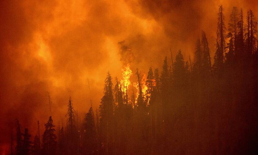 Οι πυρκαγιές του καλοκαιριού προκάλεσαν εκπομπές-ρεκόρ διοξειδίου του άνθρακα