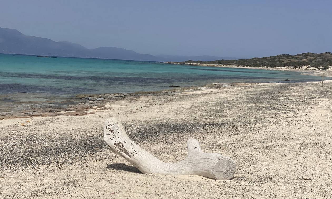 Κρήτη: Σε αυστηρό καθεστώς προστασίας η νήσος Χρυσή και το Μικρονήσι