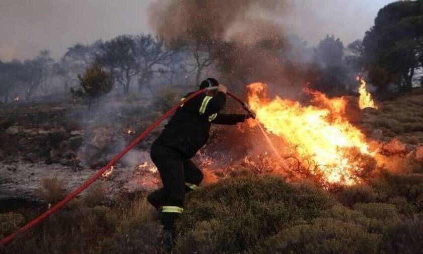 Φωτιά Τώρα: Πυρκαγιά σε χαμηλή βλάστηση στο Μαραθώνα