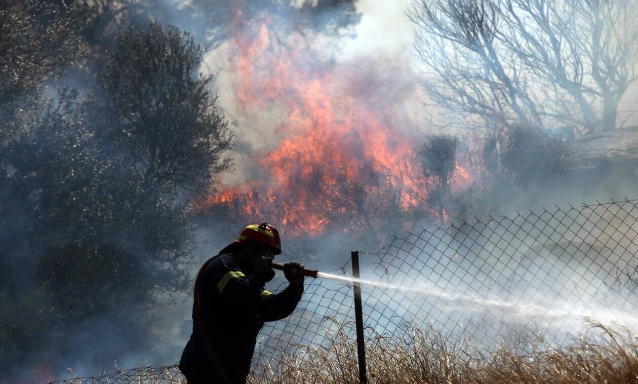 Φωτιά σε δασική έκταση στην Ανατολική Μάνη - Σε ύφεση η πυρκαγιά στην Ασπριά