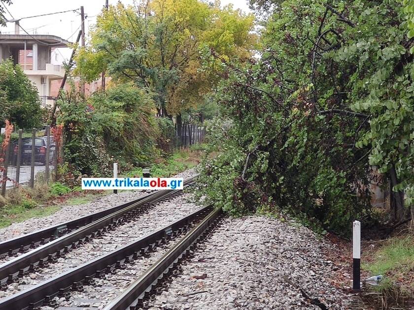 Πτώση δένδρου πάνω στις σιδηροδρομικές γραμμές στα Τρίκαλα 