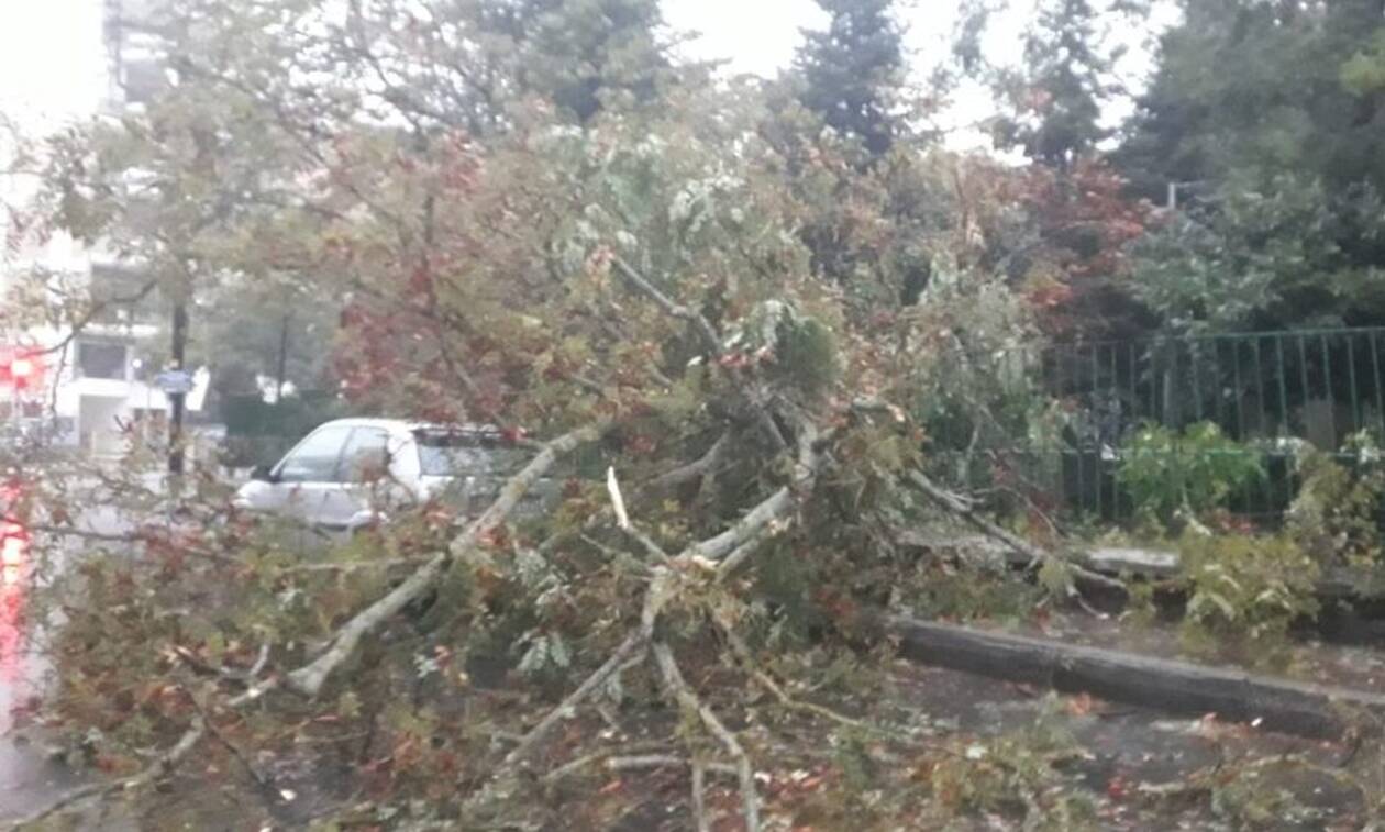 Κακοκαιρία «Αθηνά»: Χτύπησε με αφοδρότητα Αρκαδία, Αργολίδα και Κορινθία – Έσπασαν δέντρα