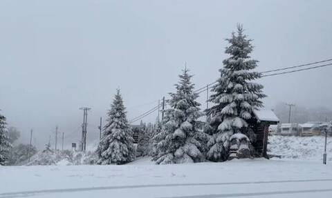 Κακοκαιρία «Μπάλλος»: Xιόνισε ακόμα και έξω από τη Φλώρινα – Άσπρισαν τα πάντα (vid)