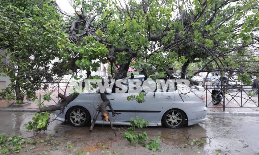 Κακοκαιρία «Μπάλλος»: Πτώσεις δέντρων στον Ταύρο - Πλάκωσαν αυτοκίνητο (photos)