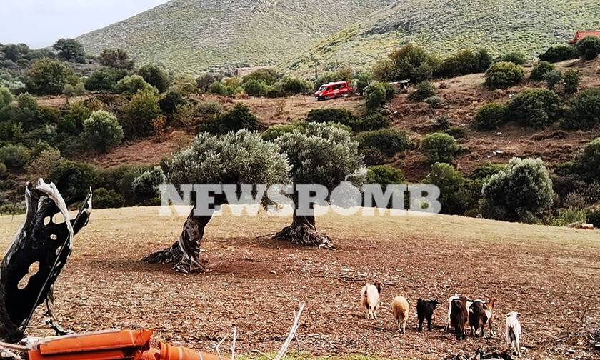 Εύβοια: Εδώ βρέθηκε νεκρός ο 69χρονος βοσκός από τα Μεσοχώρια (pics)
