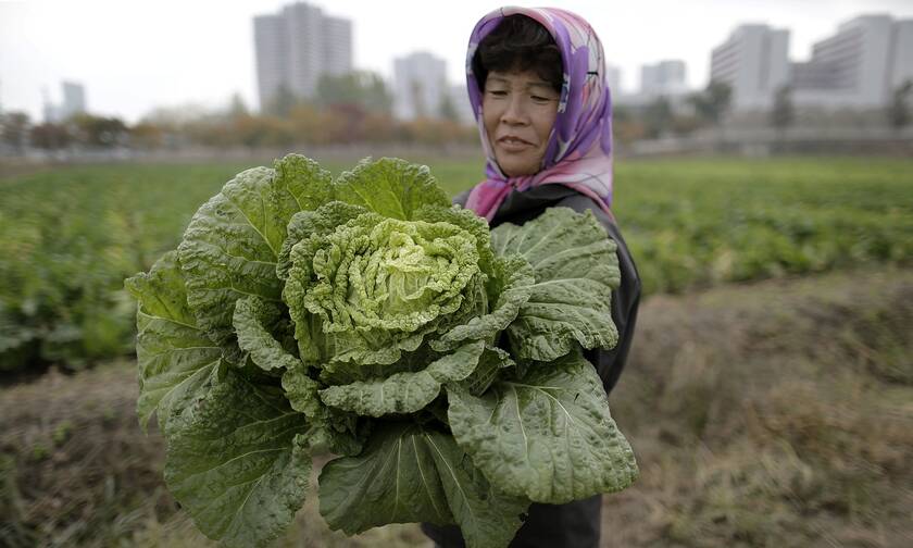 Αγρότισσα στη Βόρεια Κορέα