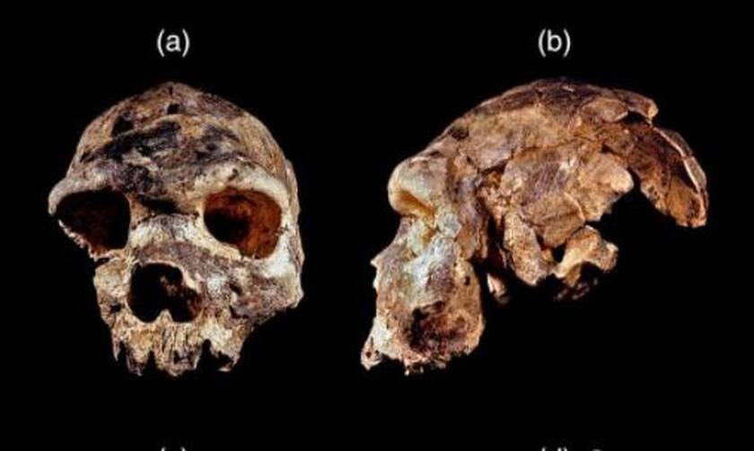 Homo bodoensis: Το νέο ανθρώπινο είδος που είναι ο άμεσος πρόγονος του σύγχρονου ανθρώπου