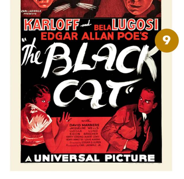 The Black Cat (1934) – 334.600 δολάρια