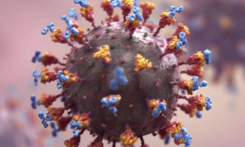Κορονοϊός: Έτσι δρουν τα εμβόλια mRNA - Πώς τα κύτταρα μαθαίνουν και εξουδετερώνουν τον ιό
