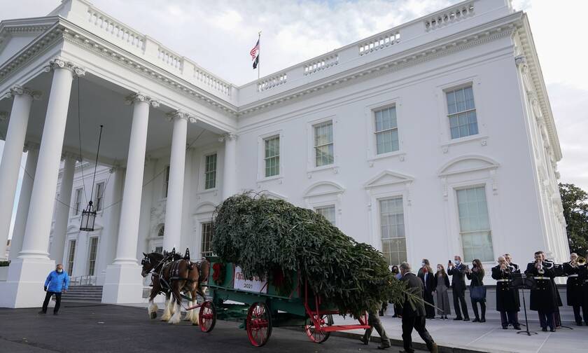 To Χριστουγεννιάτικο δέντρο φθάνει στον Λευκό Οίκο
