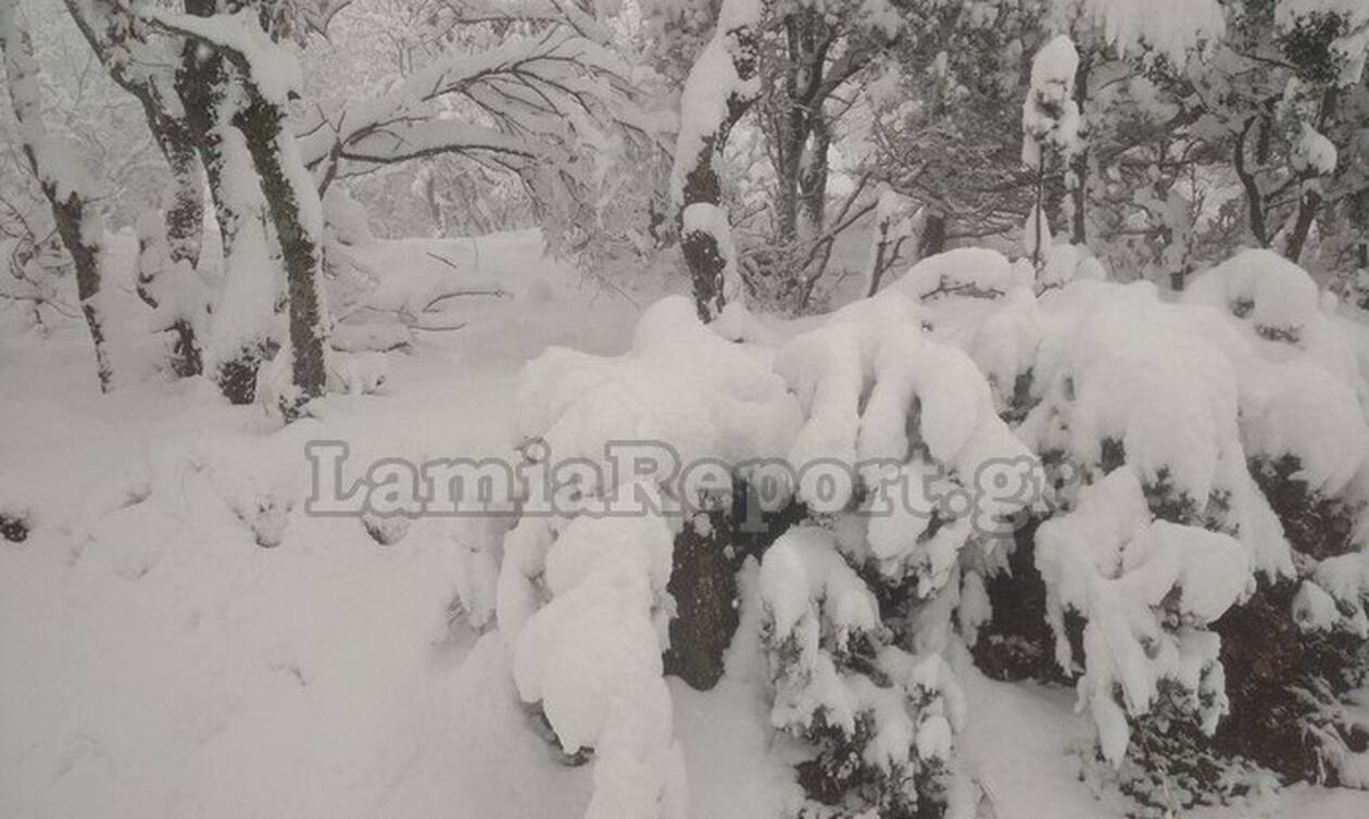 Κακοκαιρία «Κάρμελ»: Στα «λευκά» πολλές περιοχές της χώρας – Live εικόνα από χιονισμένα σημεία