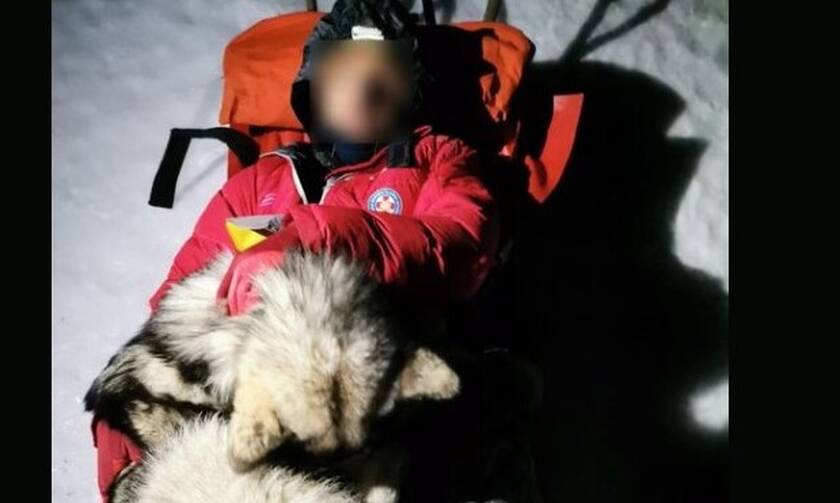 Κροατία: Ένας σκύλος έσωσε έναν πεζοπόρο σε βουνό της Κροατίας