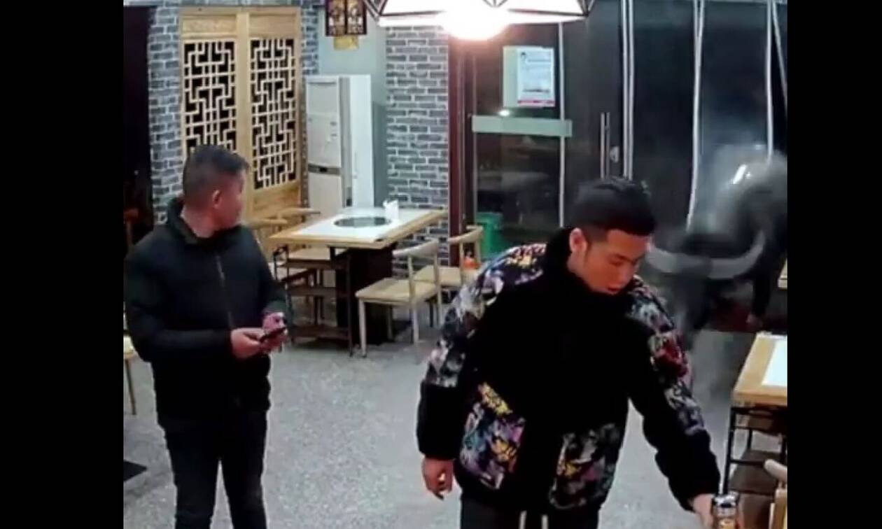 Απίστευτο video: Βούβαλος εισέβαλε σε εστιατόριο - «Τίναξε» πελάτη στον αέρα!