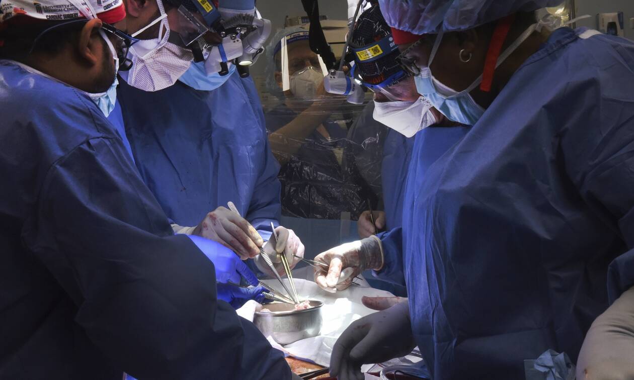 ΗΠΑ: Η πρώτη στον κόσμο μεταμόσχευση καρδιάς γενετικά τροποποιημένου χοίρου έγινε σε έναν 57χρονο