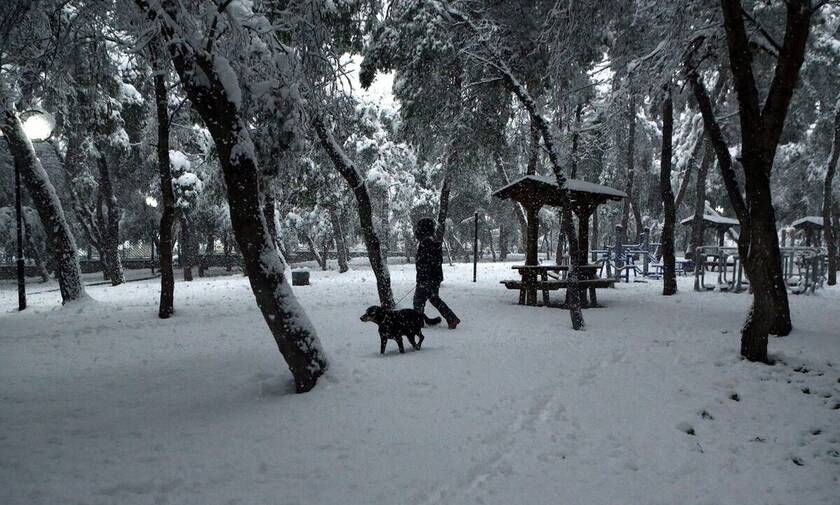 Αρνιακός στο Newsbomb.gr: «Τα φαινόμενα θα κορυφωθούν σήμερα - Χιόνια και στην Αττική»