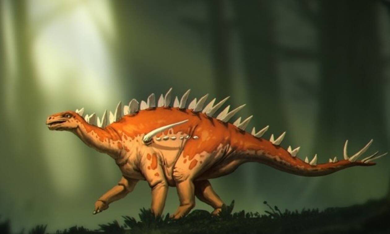 Μπασανόσαυρος: Ανακαλύφθηκε στην Κίνα νέο είδος στεγόσαυρου, πιθανώς το αρχαιότερο στον κόσμο