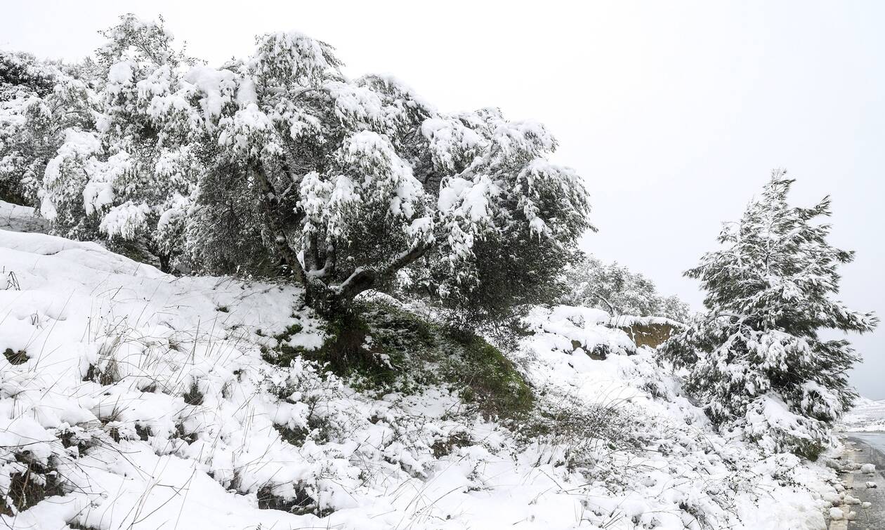 Κακοκαιρία Φίλιππος: Συνεχίζονται οι έντονες χιονοπτώσεις στο Ηράκλειο - Πού χρειάζονται αλυσίδες