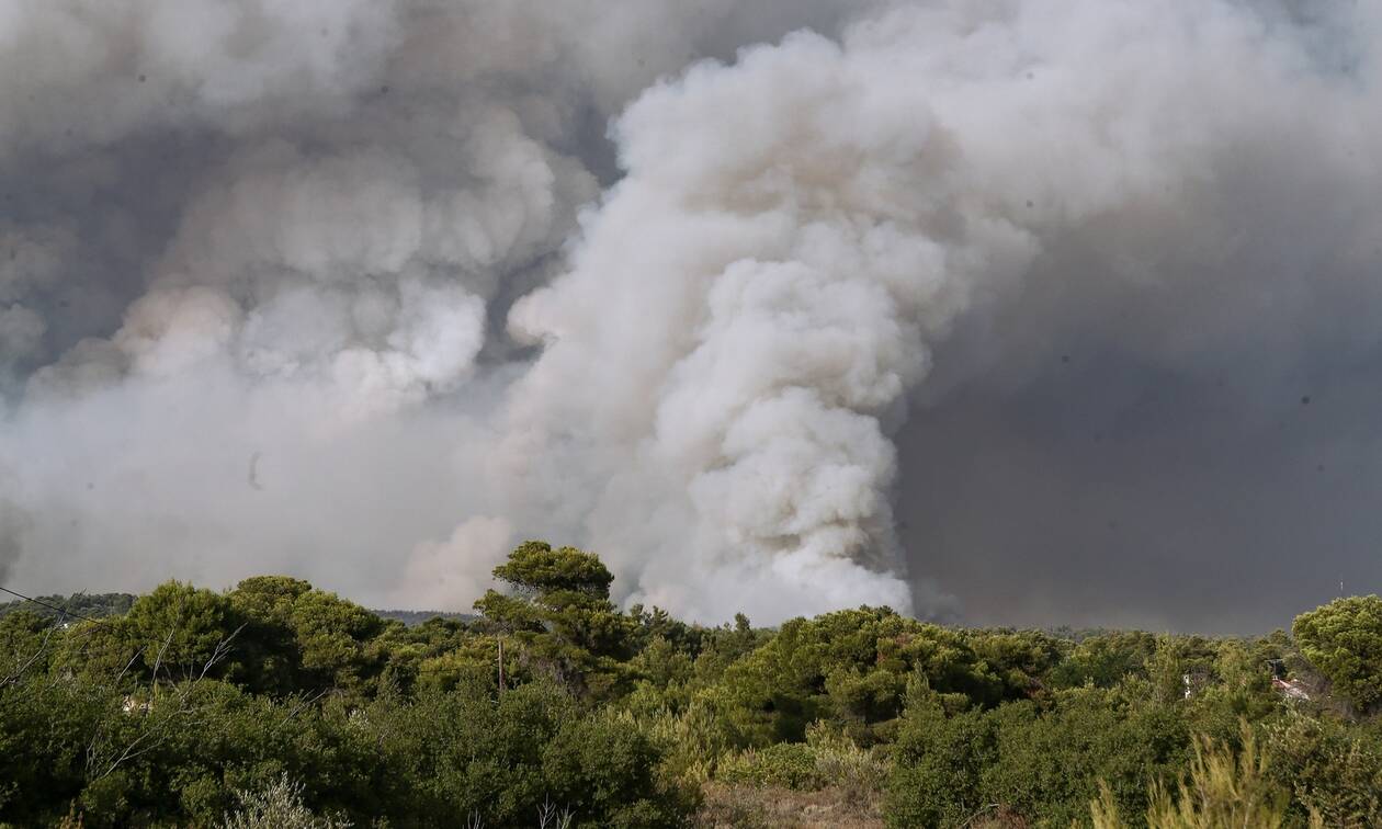 Φωτιά τώρα: Μεγάλη πυρκαγιά στον Μελιγαλά Μεσσηνίας