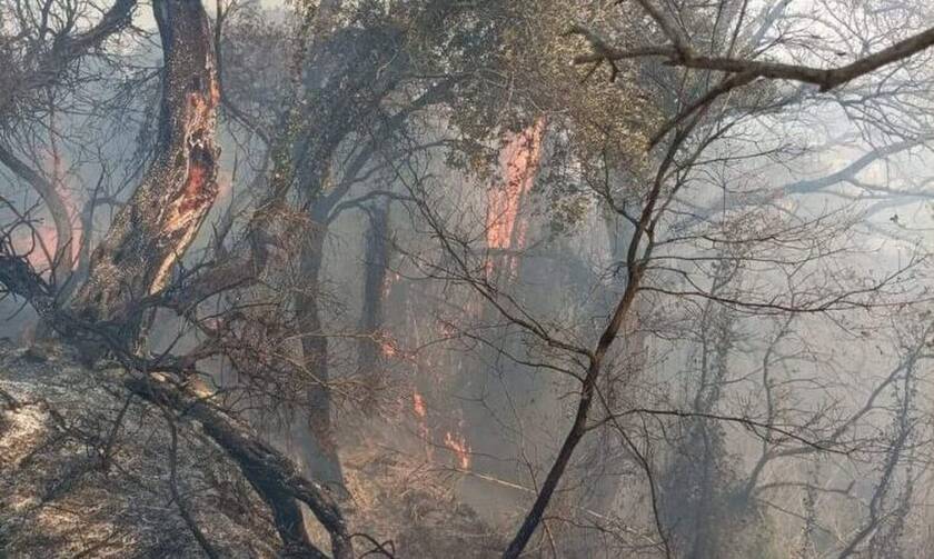 Φωτιά τώρα: Πυρκαγιά στον Βιρό Κέρκυρας - Δεν κινδυνεύουν σπίτια