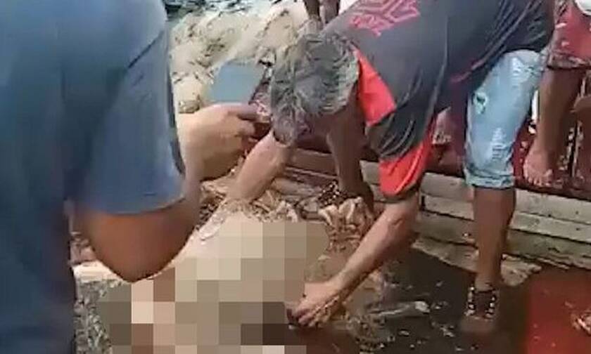 Βραζιλία: Πιράνχας κατασπάραξαν άνδρα - Έπεσε στη λίμνη επειδή τον κυνηγούσε η αστυνομία (pics)