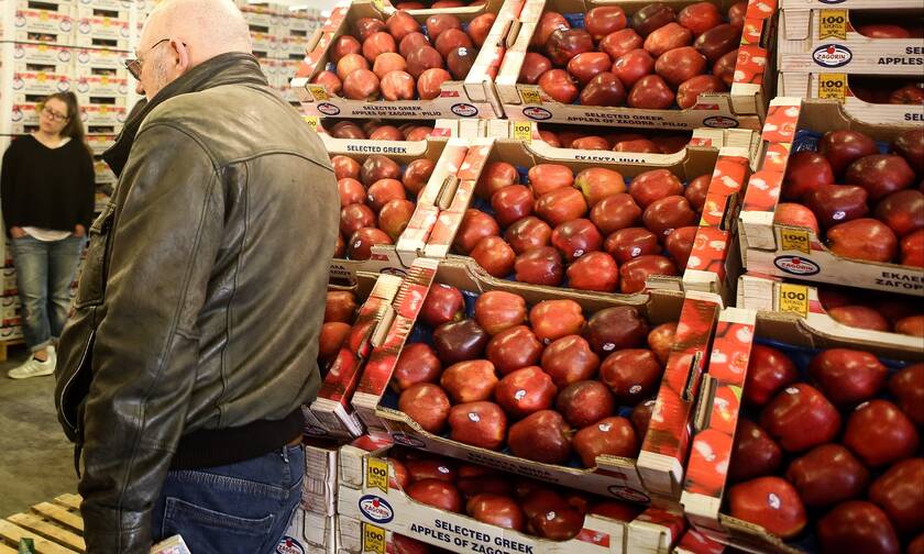 Ρεπορτάζ Newsbomb.gr: Μείωση 16,4% στις εξαγωγές φρούτων, λαχανικών – Aπώλειες για τους αγρότες