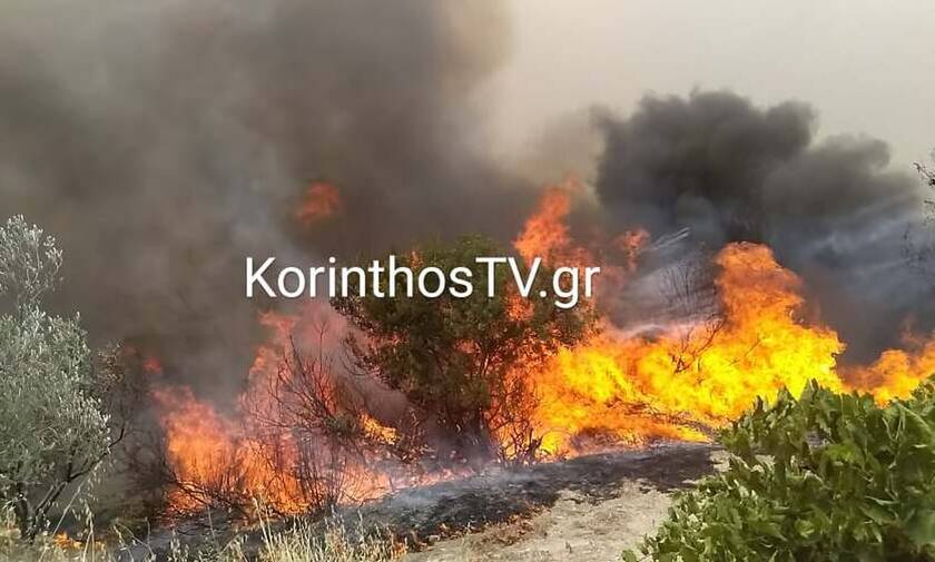Νέα μεγάλη πυρκαγιά στην Κορινθία
