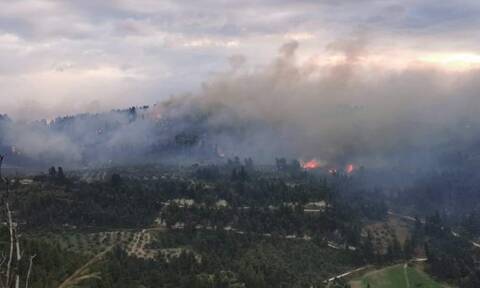 Φωτιά τώρα στη Χαλκιδική: Ενισχύθηκαν οι πυροσβεστικές δυνάμεις - Μάχη με τις φλόγες (pics)