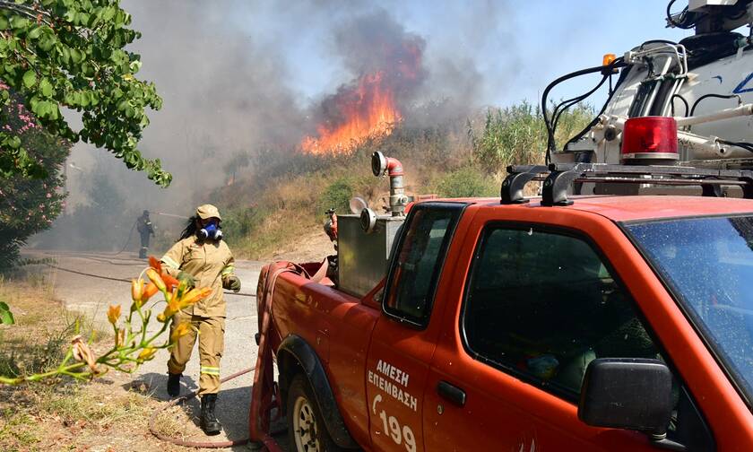 Χαλκιδική: H φωτιά περπατάει από το έδαφος - Έντονη ανησυχία για τα σπίτια που είναι μέσα στο δάσος 