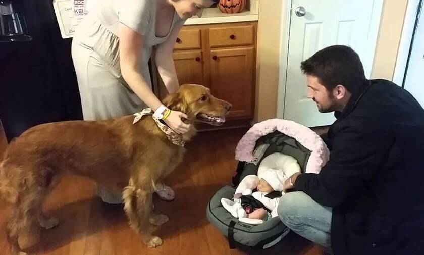 Σκύλος υποδέχεται το νεογέννητο στο σπίτι και η αντίδρασή του θα σε… γονατίσει