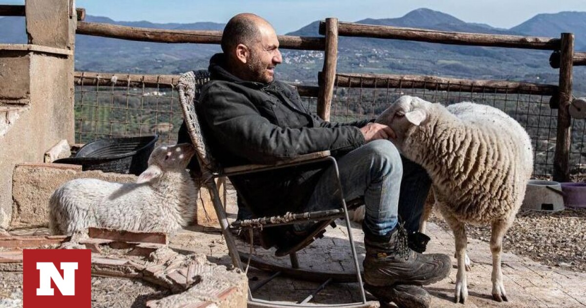 Italia: rifugio per animali che salva l’agnello dalla tavola di Pasqua – Newsbomb – Notizie
