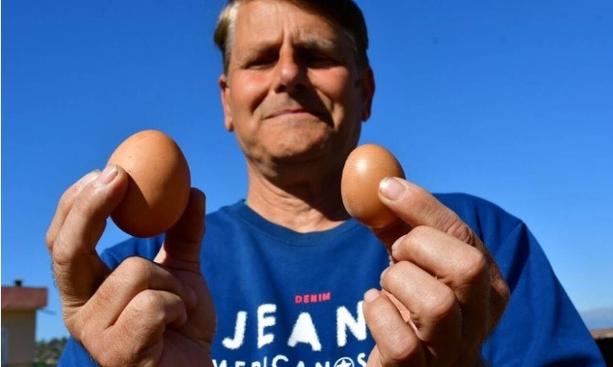 Αυγό για ρεκόρ Γκίνες στο Ναύπλιο – Πόσο ζυγίζει