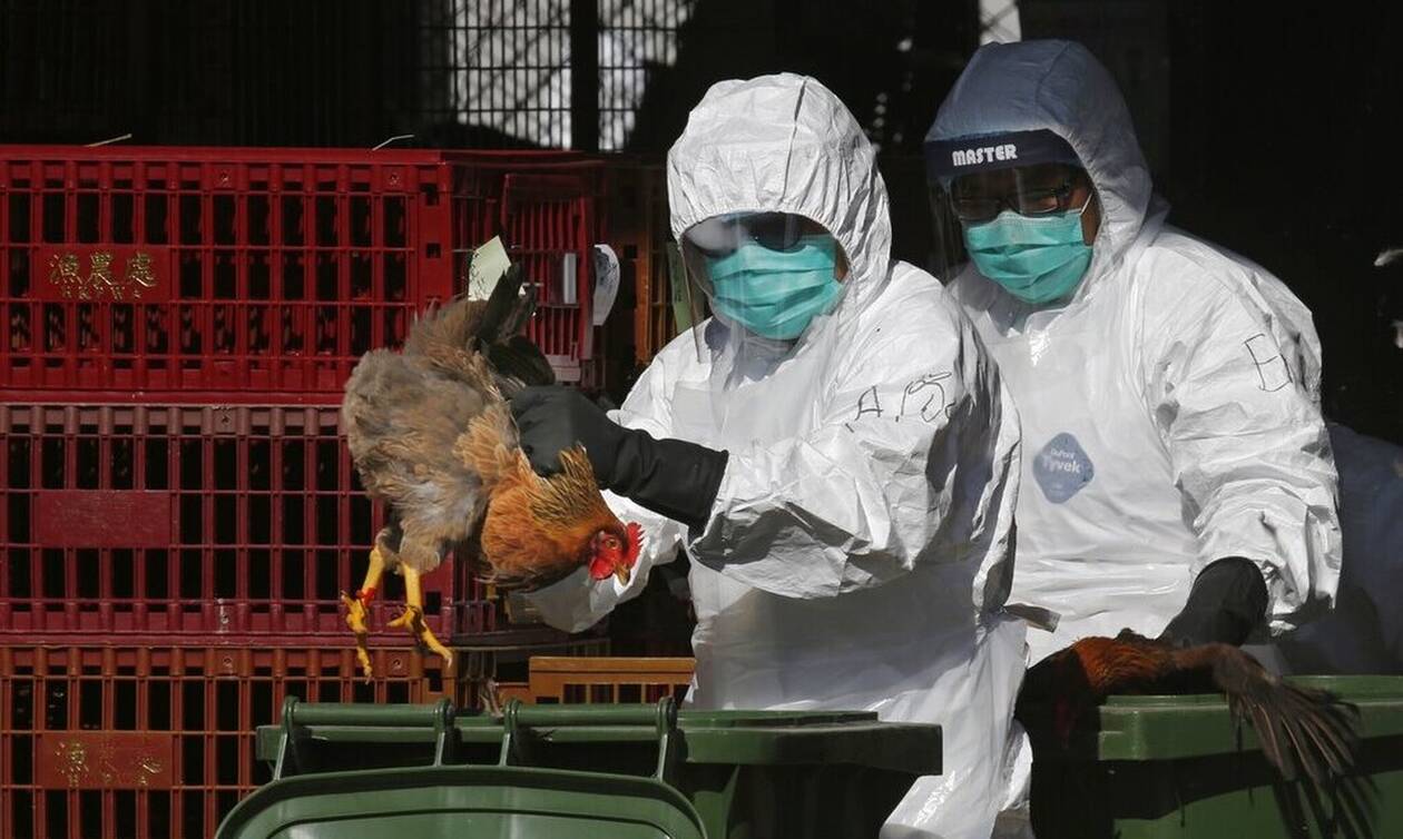 Συναγερμός στην Κίνα: Πρώτο κρούσμα γρίπης των πτηνών H3N8 σε άνθρωπο