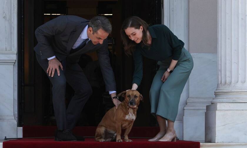 Πίνατ: Ο σκύλος - μασκότ του Μεγάρου Μαξίμου υποδέχτηκε τη Φινλανδή πρωθυπουργό