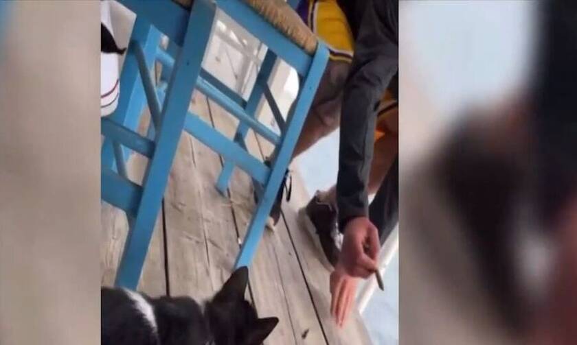 Ανατροπή: Άλλος τράβηξε το βίντεο, άλλος κλώτσησε τη γάτα στην Αιδηψό