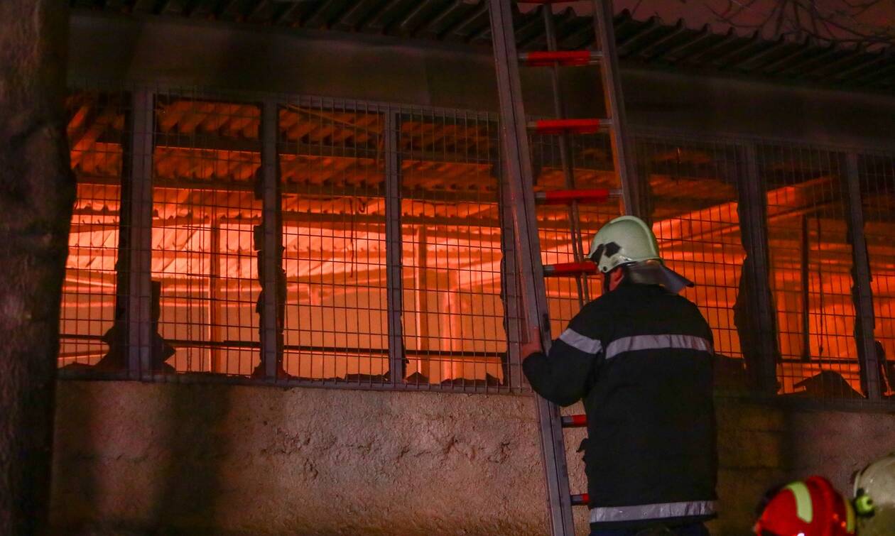 Φωτιά τώρα στην Ελευσίνα: Καίγεται επιχείρηση εμπορίας ξυλείας