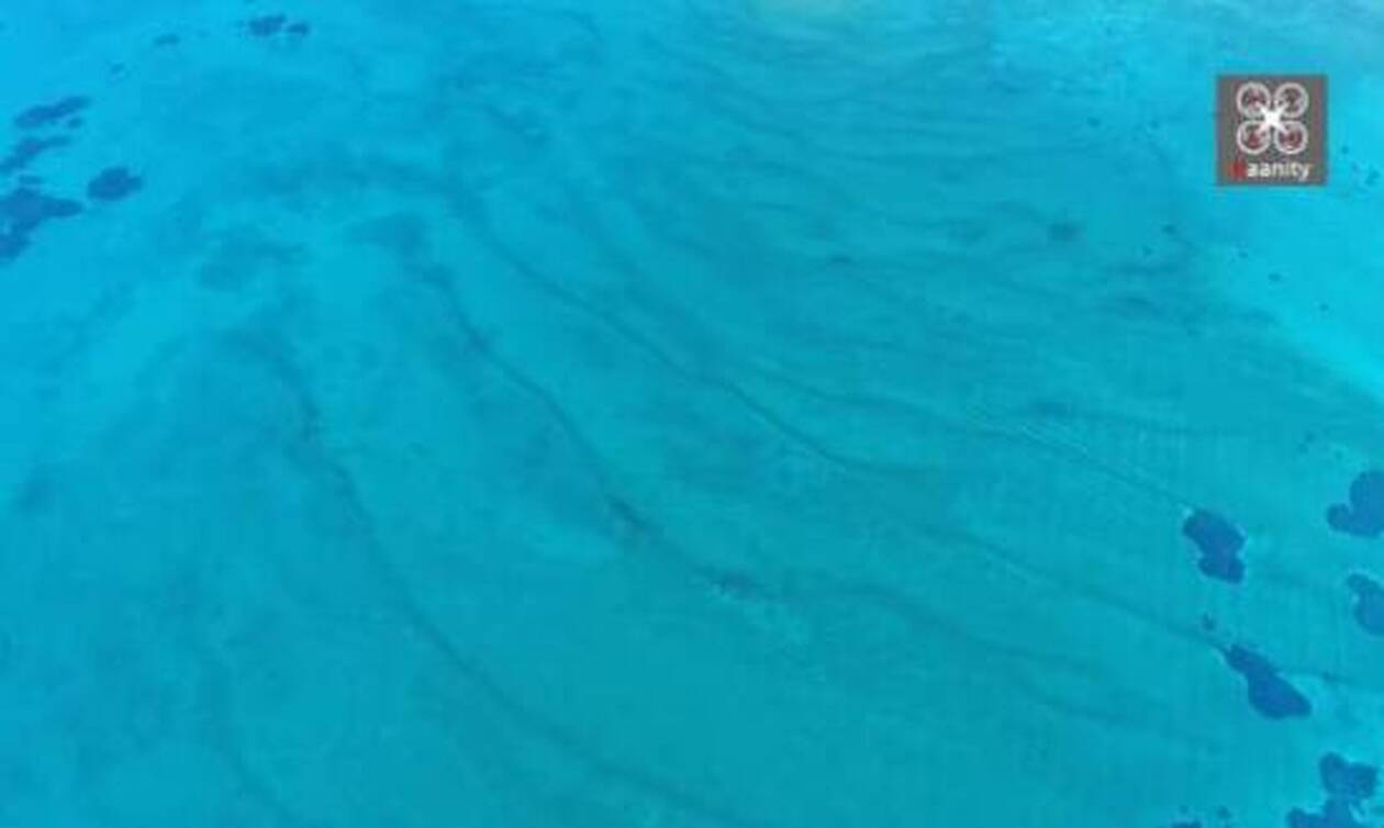 Αττική: Σπάνιο φαινόμενο στη θάλασσα - Τι είναι τα «παγωμένα κύματα» του Σαρωνικού (vid)