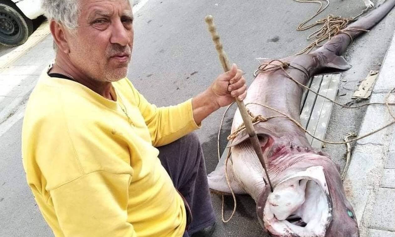 Κρήτη: Έπιασε καρχαρία 200 κιλών με αγκίστρι