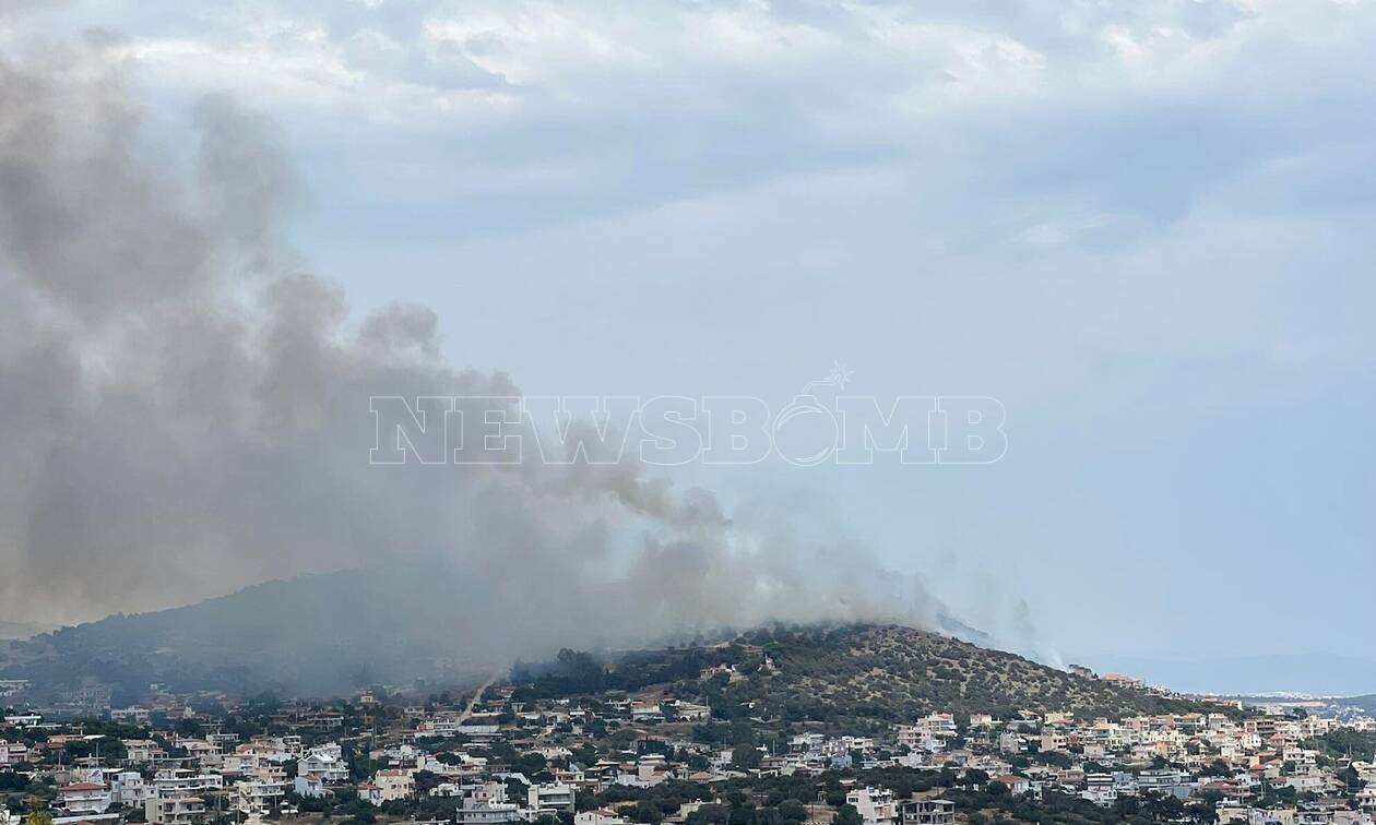 Φωτιά στη Λούτσα: Υπό έλεγχο η πυρκαγιά στην περιοχή της Αρτέμιδας