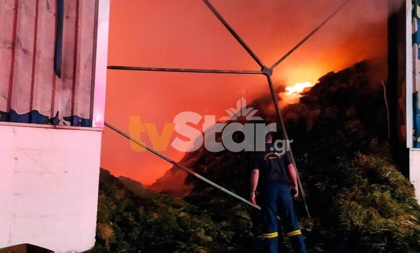 Βοιωτία: Μεγάλη φωτιά σε αποθήκη ζωοτροφών στην Αλίαρτο
