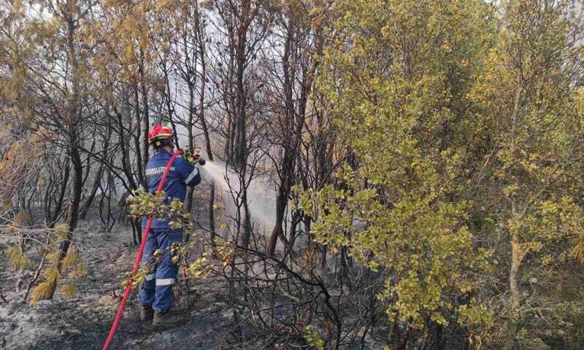 30 δασικές πυρκαγιές το τελευταίο 24ωρο σε όλη τη χώρα ανακοίνωσε το Πυροσβεστικό Σώμα