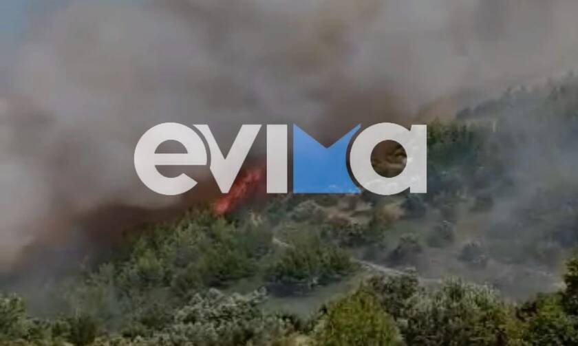 Φωτιά τώρα στην Εύβοια: Εξετάζεται σχέδιο εκκένωσης του Κρεμαστού