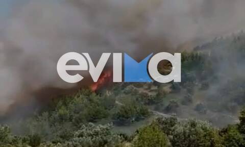 Φωτιά τώρα στην Εύβοια: Εξετάζεται σχέδιο εκκένωσης του Κρεμαστού - Ενισχύθηκαν οι δυνάμεις