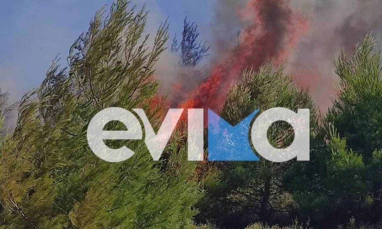 Φωτιά τώρα στην Εύβοια: Εκκενώνεται το χωριό Κρεμαστός - Ισχυρές δυνάμεις στο σημείο
