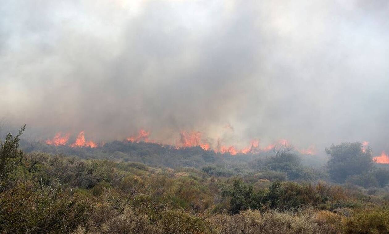 Φωτιά τώρα: Μεγάλη Πυρκαγιά στη Φωκίδα