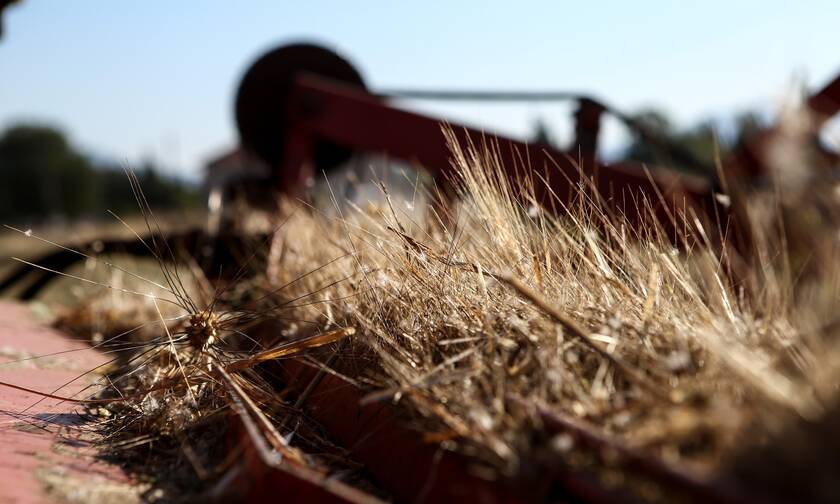 Τετραμερής συνάντηση Τουρκίας, Ρωσίας, Ουκρανίας και ΟΗΕ για τις εξαγωγές σιτηρών