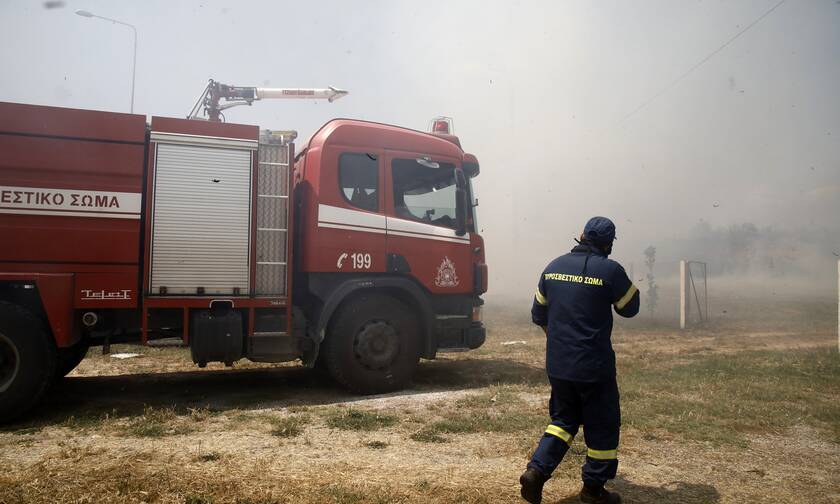 Φωτιά τώρα στη Ρόδο: Στις φλόγες δασική περιοχή κοντά στο χωριό Πλατάνια